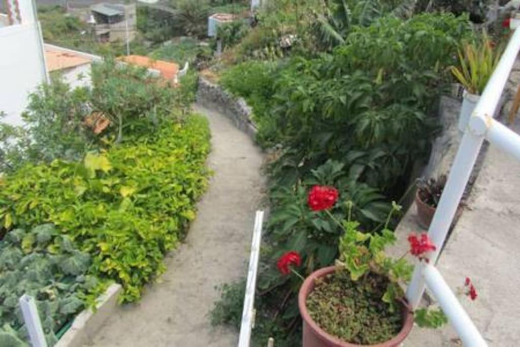 House Rural,Biosphere Reserve World.Taganana.Tfe. Santa Cruz de Tenerife Luaran gambar