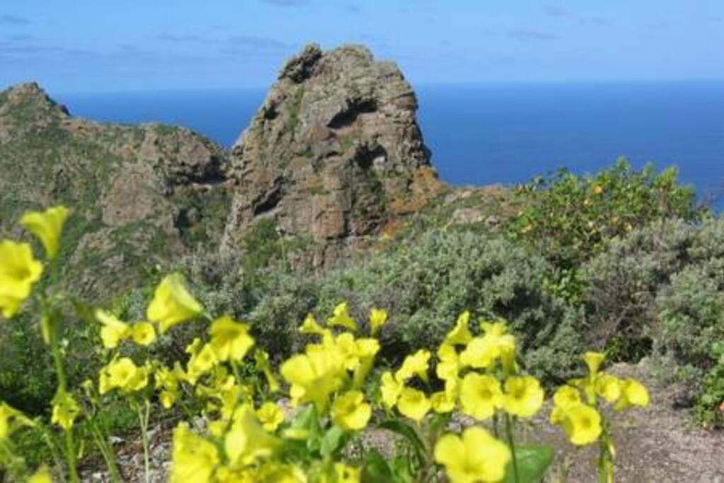House Rural,Biosphere Reserve World.Taganana.Tfe. Santa Cruz de Tenerife Luaran gambar
